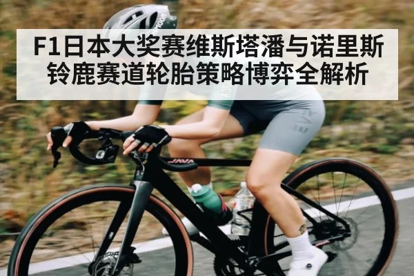 F1日本大奖赛维斯塔潘与诺里斯铃鹿赛道轮胎策略博弈全解析